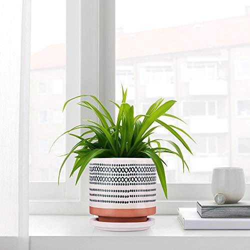 Succulent Pots, Small Flower Pots Indoor, 5 Inch Ceramic Planter P...