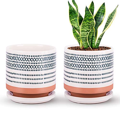 Succulent Pots, Small Flower Pots Indoor, 5 Inch Ceramic Planter P...