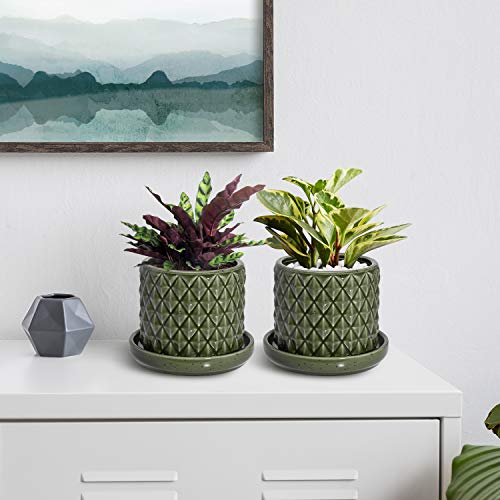 The Next Gardener Ceramic Plant Pots, Pack of 2 Succulents Cactus ...