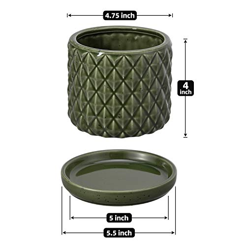 The Next Gardener Ceramic Plant Pots, Pack of 2 Succulents Cactus ...
