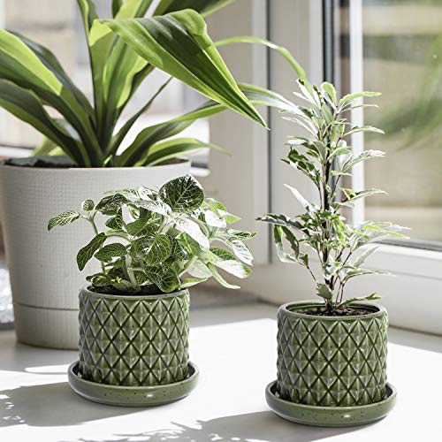 The Next Gardener Ceramic Plant Pots, Pack of 2 Succulents Cactus ...