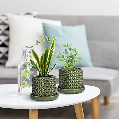 The Next Gardener Ceramic Plant Pots, Pack of 2 Succulents Cactus ...