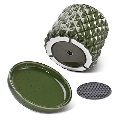 The Next Gardener Ceramic Plant Pots, Pack of 2 Succulents Cactus ...