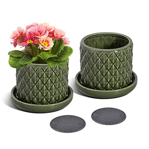 The Next Gardener Ceramic Plant Pots, Pack of 2 Succulents Cactus ...