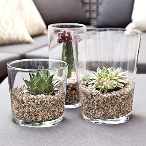 The Next Gardener Succulent and Cactus Bonsai Gritty Mix Rocks, DI...