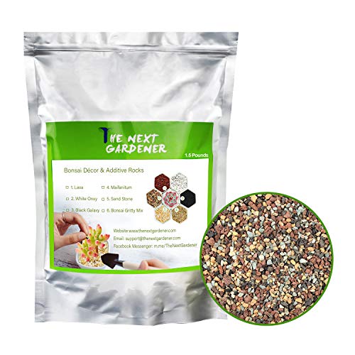The Next Gardener Succulent and Cactus Bonsai Gritty Mix Rocks, DI...