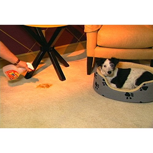 Overstock Item! Quick 10 Carpet, Clothing, Upholstery & Pet Stain...