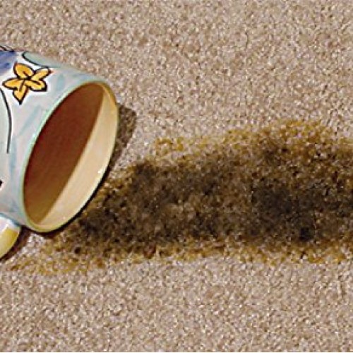 Overstock Item! Quick 10 Carpet, Clothing, Upholstery & Pet Stain...