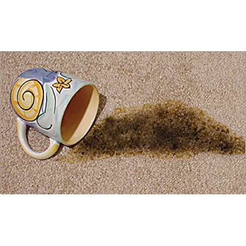 Overstock Item! Quick 10 Carpet, Clothing, Upholstery & Pet Stain...
