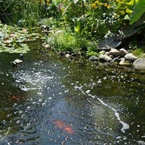 The Pond Guy Pond Aerator Formerly Water Garden Aeration Kit