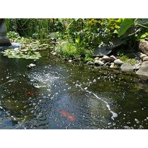 The Pond Guy Pond Aerator Formerly Water Garden Aeration Kit