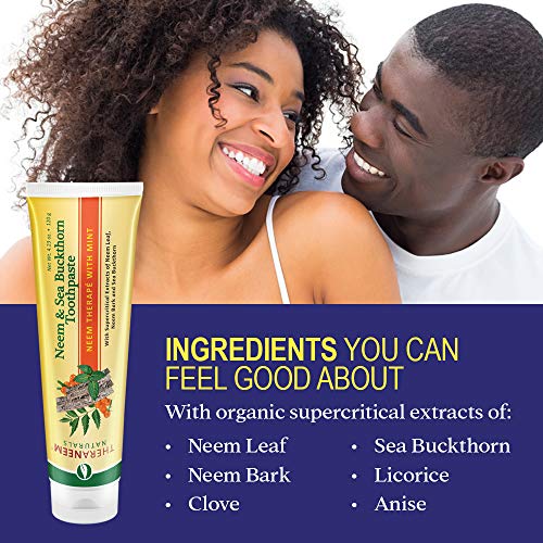 TheraNeem Neem & Sea Buckthorn Toothpaste, Mint | Supports Clean, ...