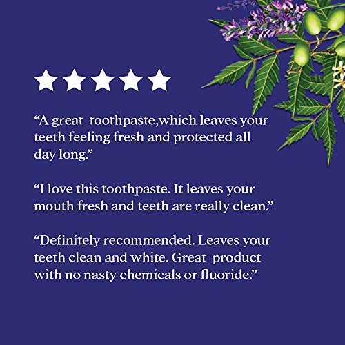 TheraNeem Neem & Sea Buckthorn Toothpaste, Mint | Supports Clean, ...