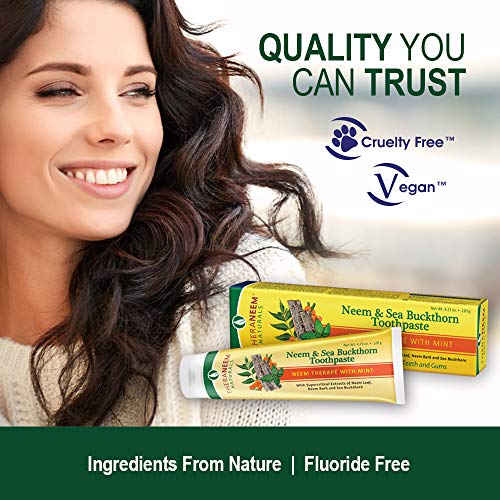 TheraNeem Neem & Sea Buckthorn Toothpaste, Mint | Supports Clean, ...