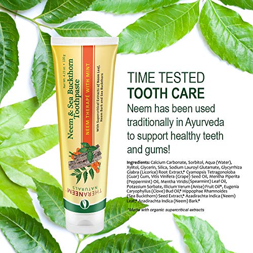TheraNeem Neem & Sea Buckthorn Toothpaste, Mint | Supports Clean, ...