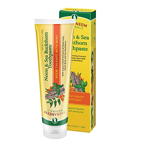 TheraNeem Neem & Sea Buckthorn Toothpaste, Mint | Supports Clean, ...