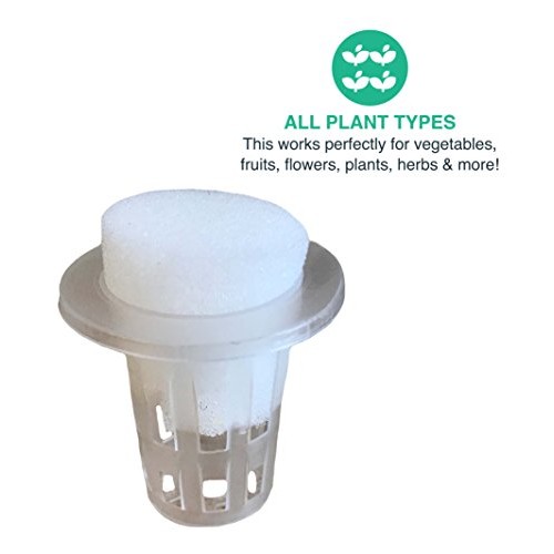 Think Crucial Replacement Clone Your Own Plant Cutting Kit – Repla...