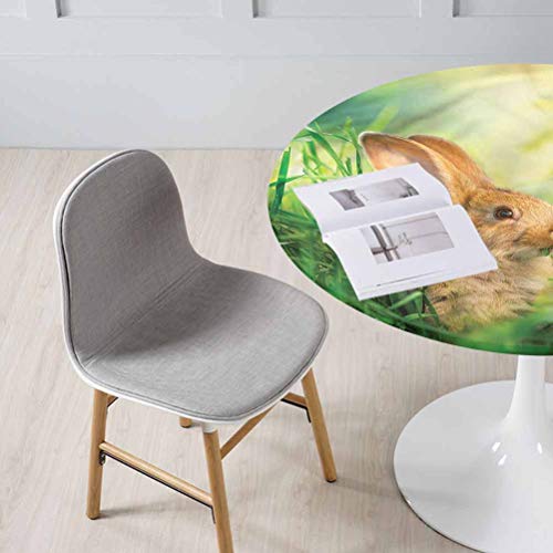 Durable Table Cloth Rabbit, Rodent in Green Grass Meadow Spill-Pro...