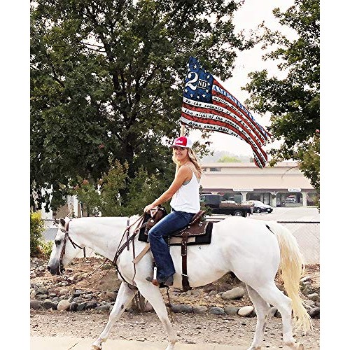This Well Defend 2nd Stars & Stripes Flag 3 ft by 5 ft Designed i...