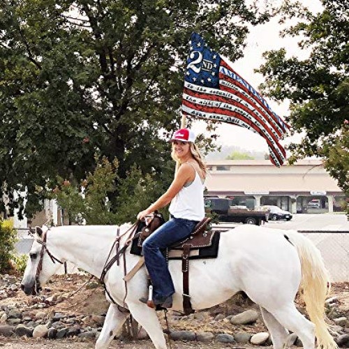 This Well Defend 2nd Stars & Stripes Flag 3 ft by 5 ft Designed i...