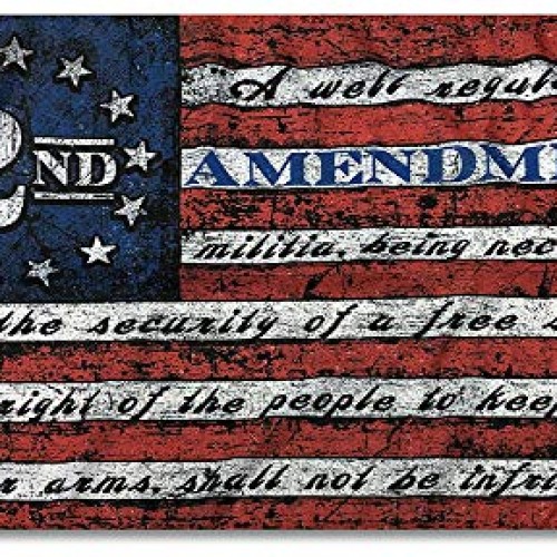 This Well Defend 2nd Stars & Stripes Flag 3 ft by 5 ft Designed i...