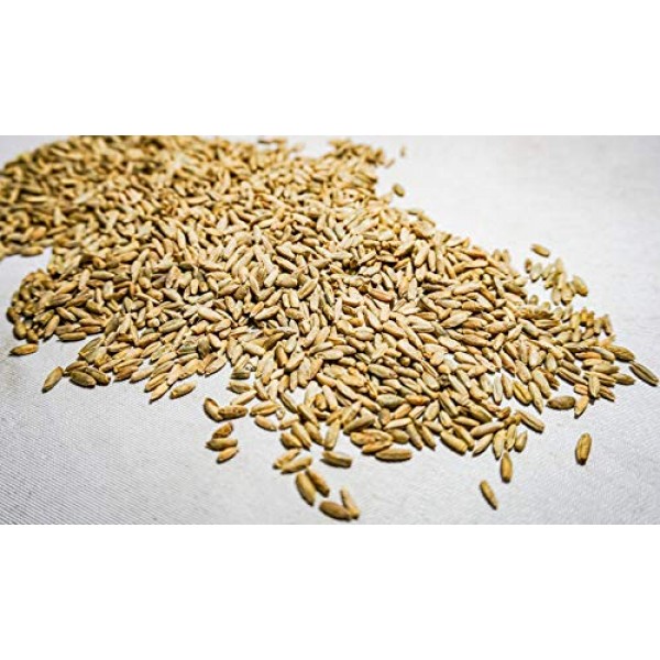 Thunder Acres Organic Winter Rye Seeds, Non-GMO 3 lb