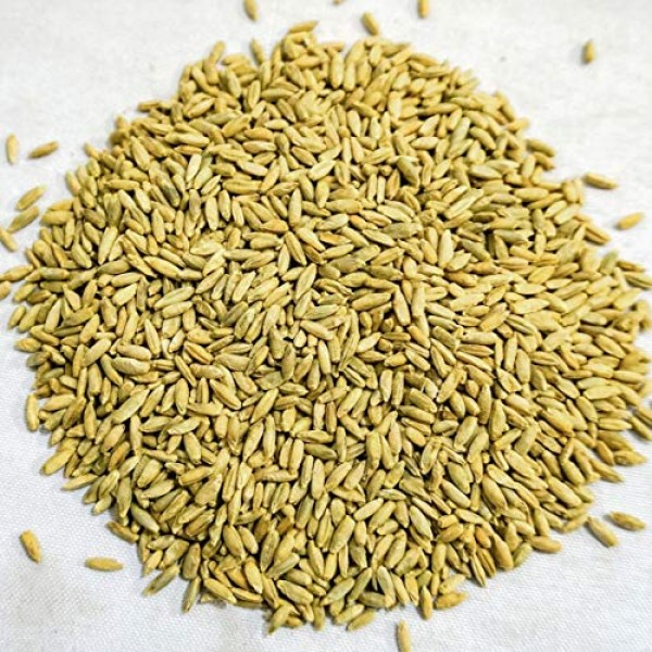 Thunder Acres Organic Winter Rye Seeds, Non-GMO 5 lb
