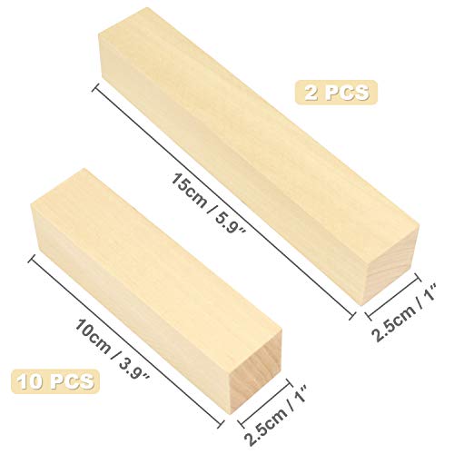 12 Pack Wood Carving Blocks Kit, Soft Wooden Blocks for Beginners ...