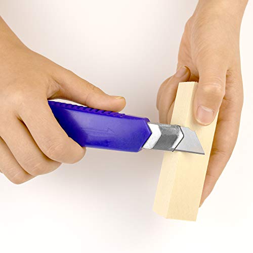 12 Pack Wood Carving Blocks Kit, Soft Wooden Blocks for Beginners ...