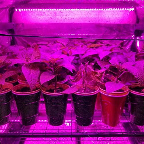 Tiamu Silver Highly Reflective Mylar Film Garden Greenhouse Coveri...