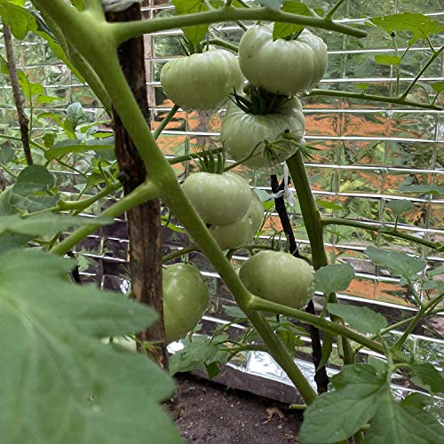 Tiamu Silver Highly Reflective Mylar Film Garden Greenhouse Coveri...