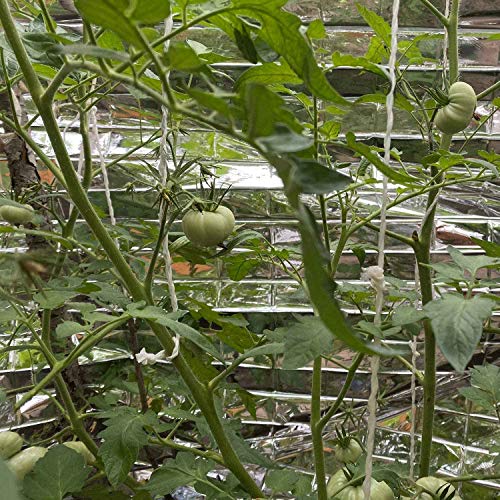 Tiamu Silver Highly Reflective Mylar Film Garden Greenhouse Coveri...