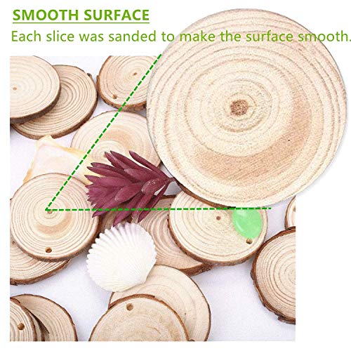 Natural Wood Slices TICIOSH 40 Pcs 2-2.4 inches Craft Unfinished W...