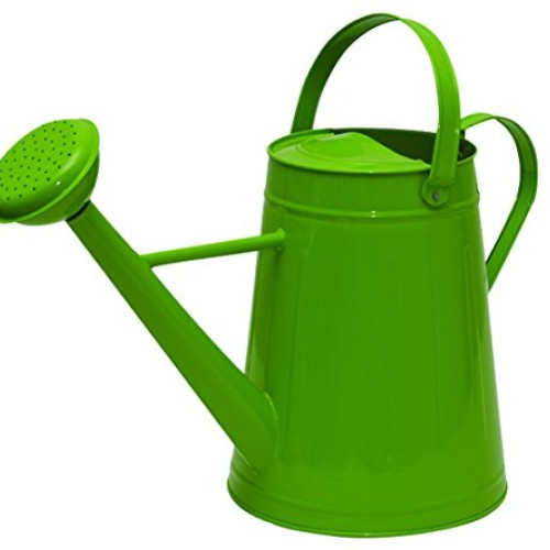 Tierra Garden 36-5081G Traditional Metal Watering Can, 2.1-Gallon,...