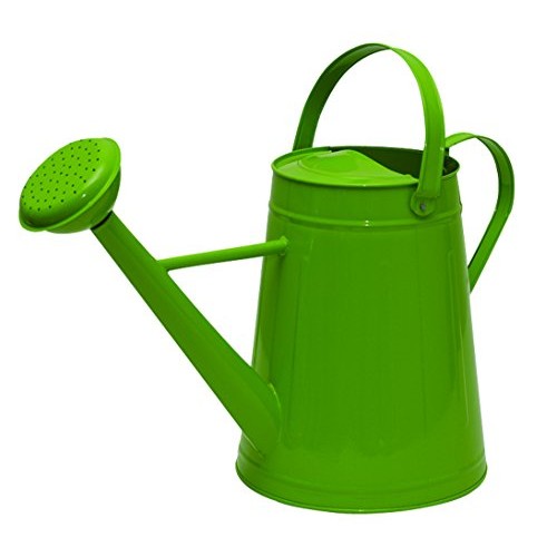 Tierra Garden 36-5081G Traditional Metal Watering Can, 2.1-Gallon,...