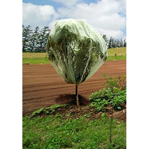 Tierra Garden 50-3530 Haxnicks 6.6 x 6.6 Fruit Tree Cover, Easy ...