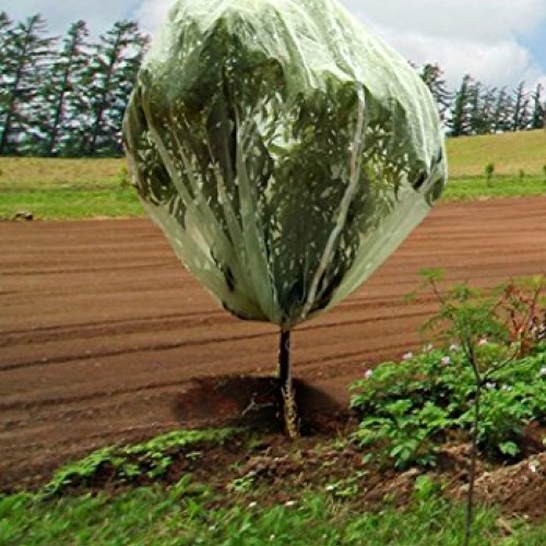 Tierra Garden 50-3530 Haxnicks 6.6 x 6.6 Fruit Tree Cover, Easy ...