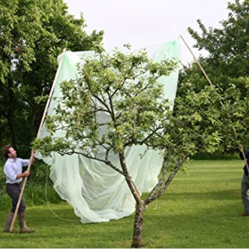 Tierra Garden 50-3530 Haxnicks 6.6 x 6.6 Fruit Tree Cover, Easy ...