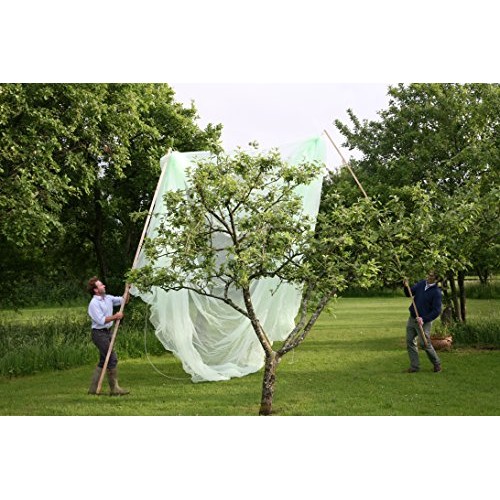 Tierra Garden 50-3530 Haxnicks 6.6 x 6.6 Fruit Tree Cover, Easy ...