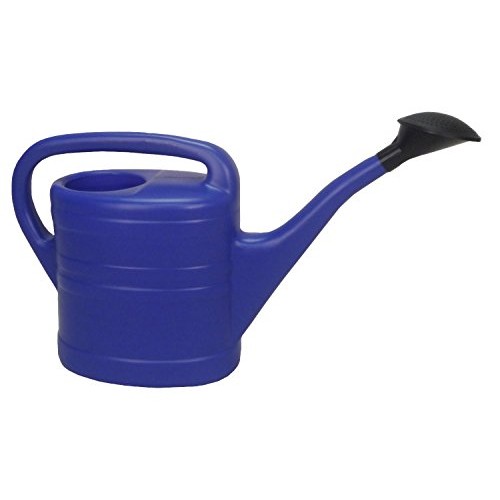 Tierra Garden 5010B 2.7-Gallon Watering Can, Blue