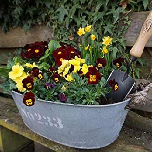 Tierra Garden Dewit Forged “Fantastic Four” Hand Trowel, Garden To...
