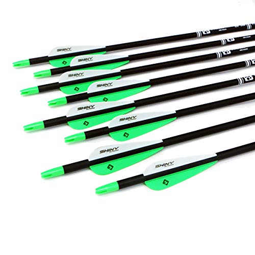 Tiger Archery 30Inch Carbon Arrow Practice Hunting Arrows with Rem...