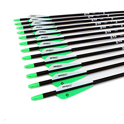 Tiger Archery 30Inch Carbon Arrow Practice Hunting Arrows with Rem...