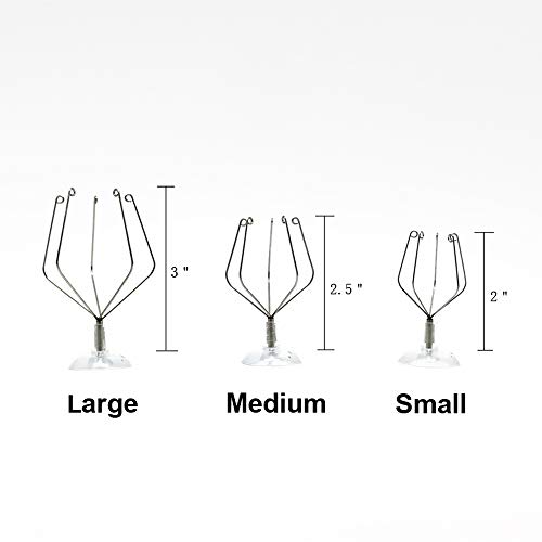 Tillandsiart 10 Pack Vertical Air Plant Holder Suction Cup, Stain...