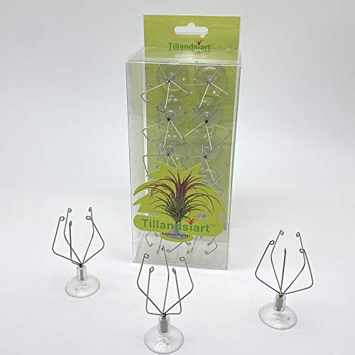 Tillandsiart 10 Pack Vertical Air Plant Holder Suction Cup, Stain...