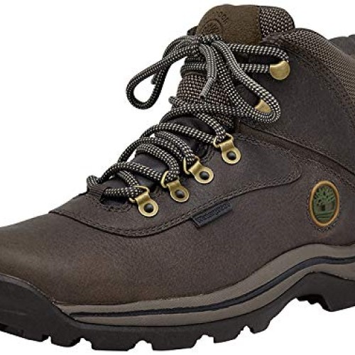 Timberland White Ledge Mens Waterproof Boot,Dark Brown,10.5 M US