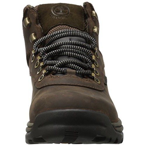 Timberland White Ledge Mens Waterproof Boot,Dark Brown,8 M US