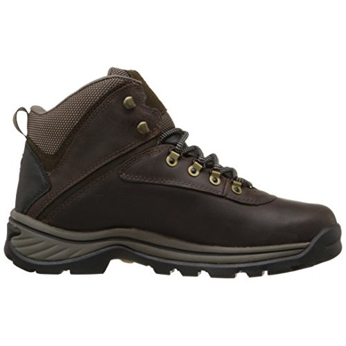Timberland White Ledge Mens Waterproof Boot,Dark Brown,8 M US