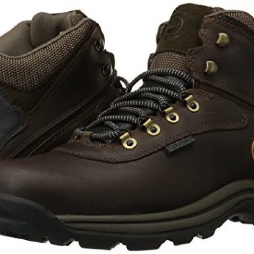 Timberland White Ledge Mens Waterproof Boot,Dark Brown,8 M US