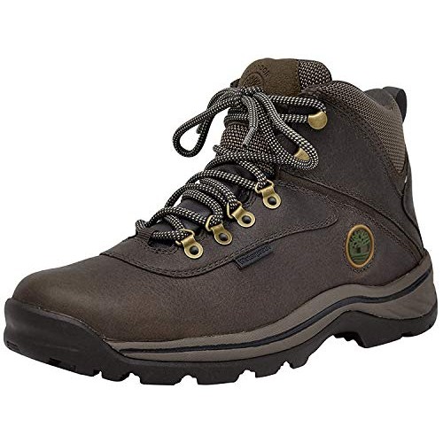 Timberland White Ledge Mens Waterproof Boot,Dark Brown,8 M US